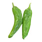 Hatch Green Mild - NM 6-4 - 1/2 oz. Seeds - BULK - Sandia Seed Company