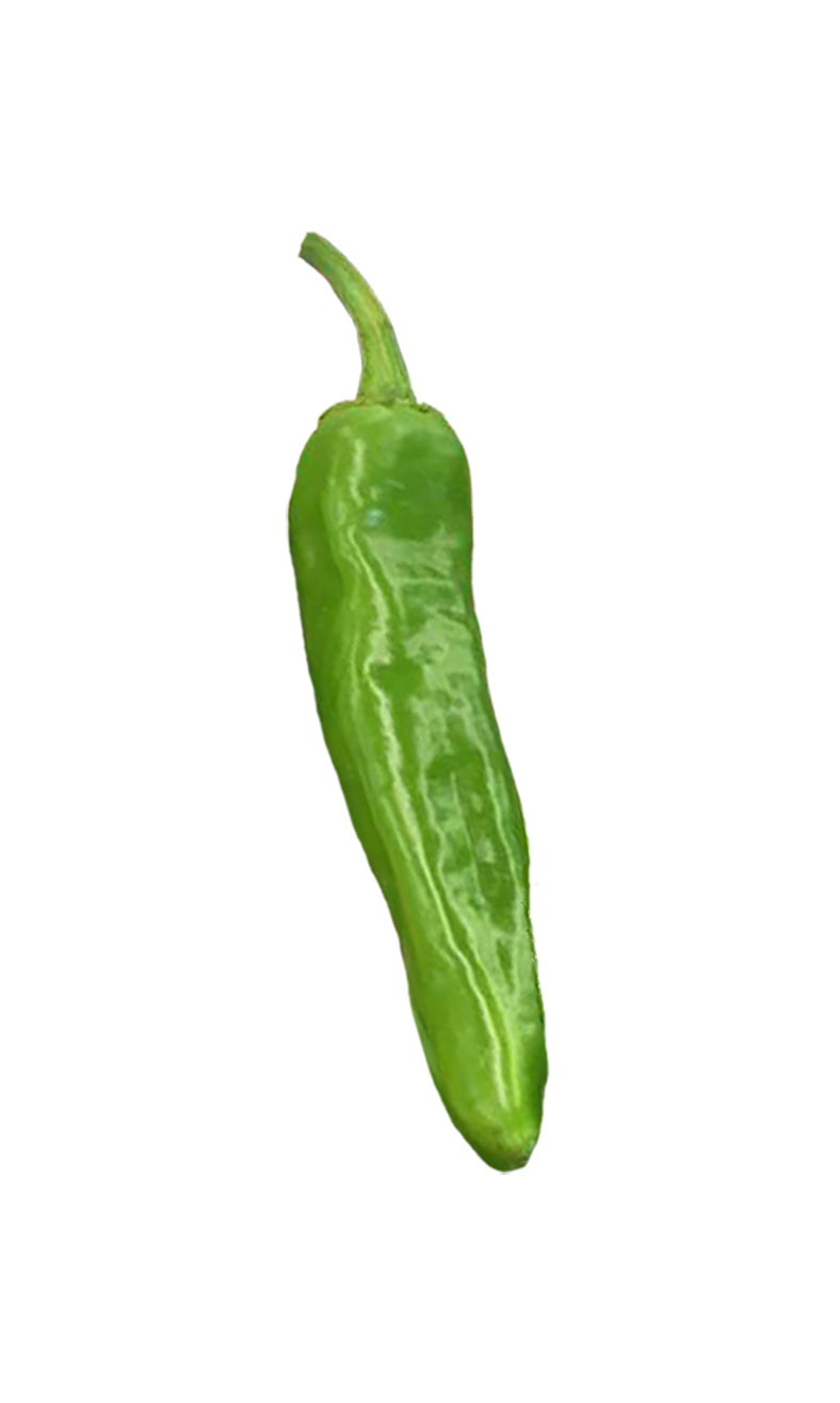 Hatch Green X-Hot Lumbre Chile Seeds - Sandia Seed Company