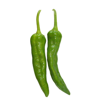 Hatch Green Chile X Hot - Barker's Hot - 1/2 oz. Seeds - BULK - Sandia Seed Company