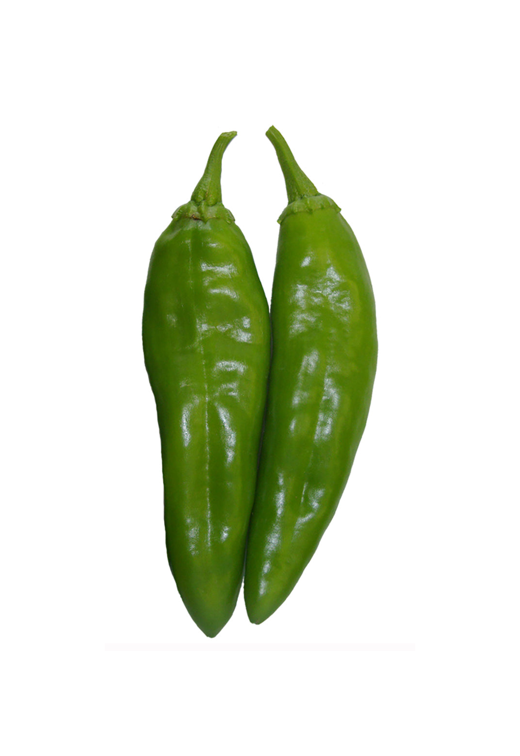 NuMex Heritage 6-4 - Mild Green Chile Seeds - Sandia Seed Company