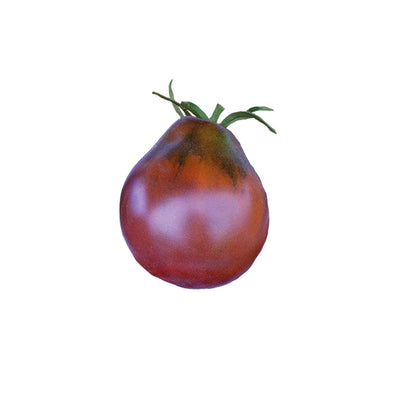 Japanese Black Trifele Tomato Seeds