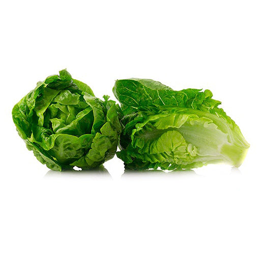 Lettuce - Little Gem Seeds – Sandia Seed Company