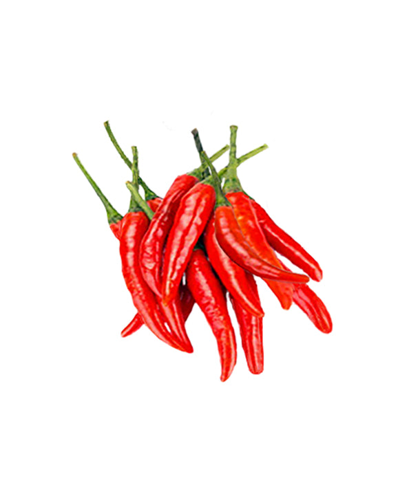 Malagueta Heirloom Pepper Seeds - Sandia Seed Company