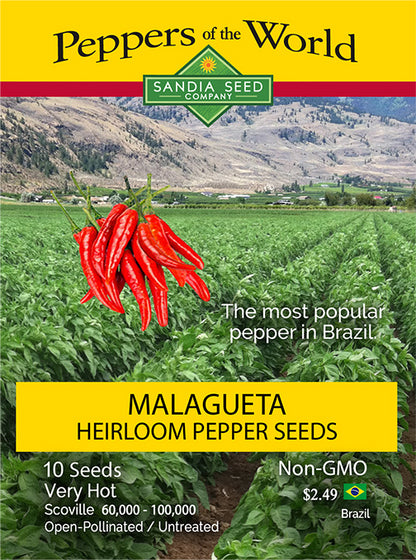 Malagueta Heirloom Pepper Seeds - Sandia Seed Company