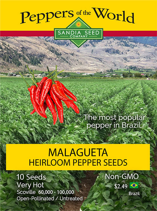 Malagueta Heirloom Pepper Seeds - Sandia Seed Company