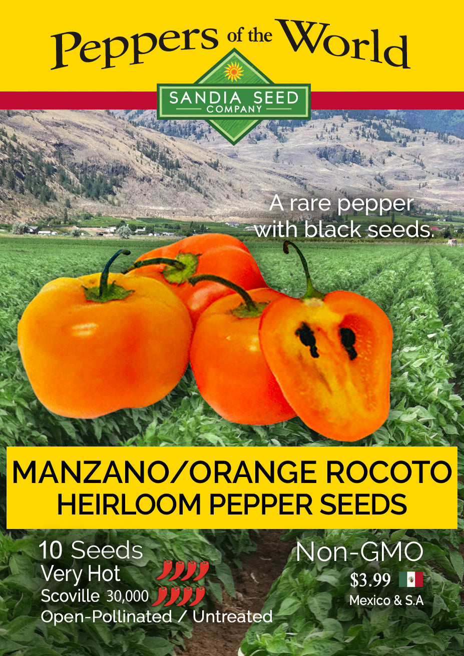 Manzano / Orange Rocoto - Heirloom Pepper Seeds - Sandia Seed Company