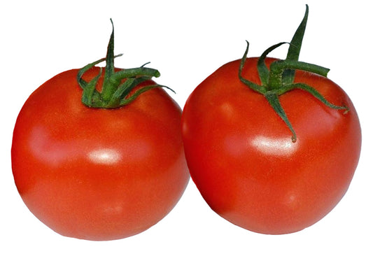 Tomato - Marglobe Supreme Seeds - Sandia Seed Company