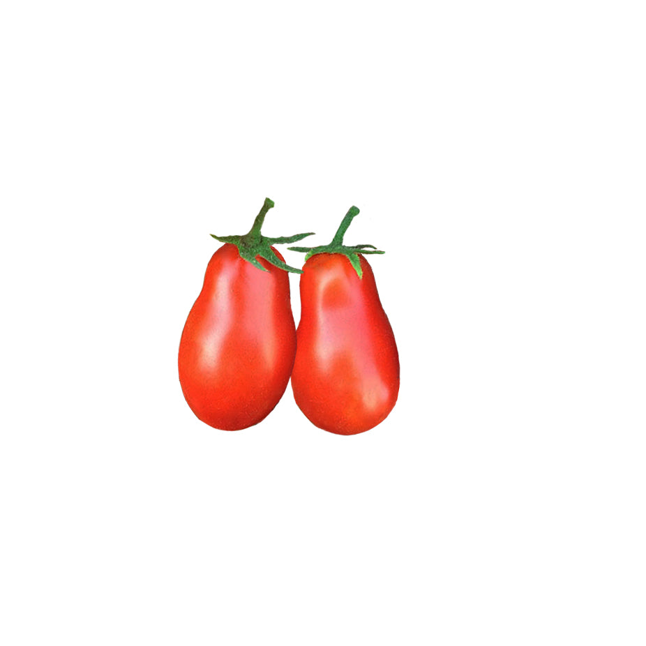 Tomato - Martino's Roma Heirloom Seeds