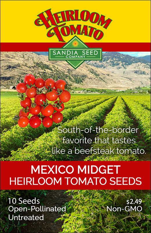 Tomato - Mexico Midget Seeds