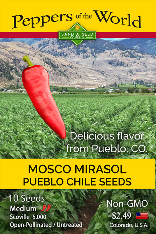 Mirasol Mosco Pueblo Chile Seeds - Authentic from Colorado