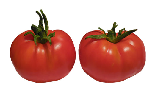 Tomato - New Yorker Heirloom Seeds - Sandia Seed Company