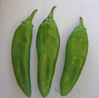 NuMex Heritage 6-4 - 2 oz. Seeds BULK - Sandia Seed Company
