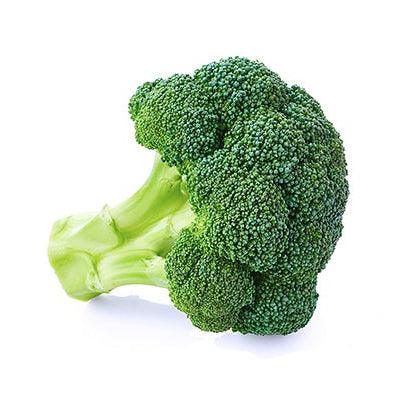 Organic Broccoli Seeds from Sandia Seed