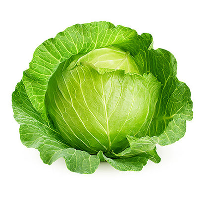 Organic Cabbage Seeds - Brunswick