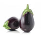 Organic Eggplant Seeds - Black Beauty