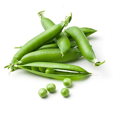 Organic Pea Seeds - Sugar Snap