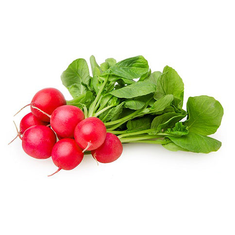 Organic Radish Seeds - Cherry Belle