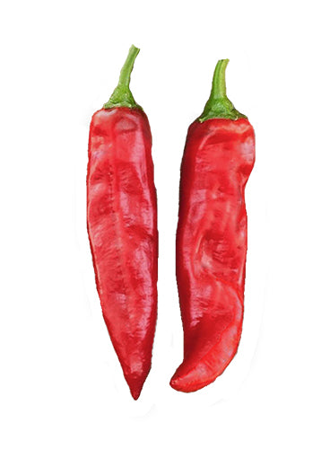 Paprika - 2 oz. Seeds - BULK - Sandia Seed Company