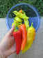 Hot Hungarian Wax Peppers