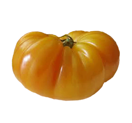 Tomato - Pineapple Heirloom Seeds ORG - Sandia Seed Company