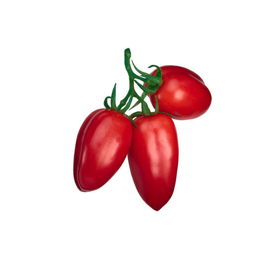 Tomato - San Marzano Roma Heirloom Seeds