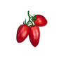Tomato - San Marzano Roma Heirloom