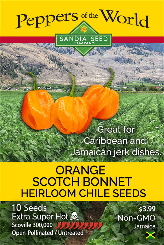Scotch Bonnet Orange Pepper Seeds