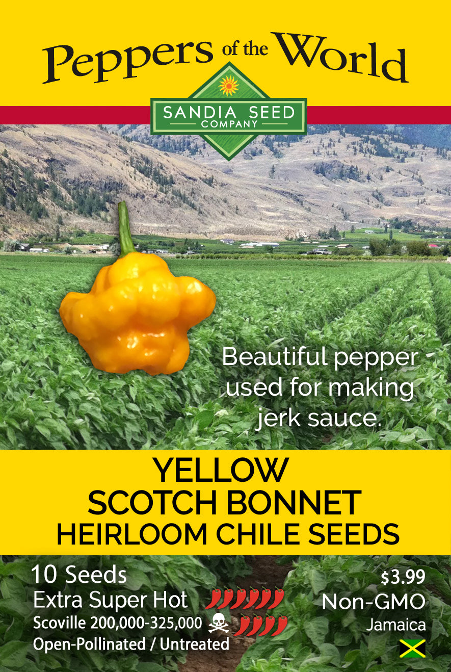 Scotch Bonnet Yellow Pepper Seeds - Sandia Seed Company