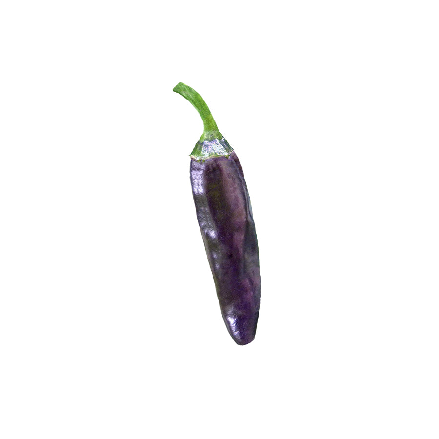 Serrano Purple Pepper Seeds