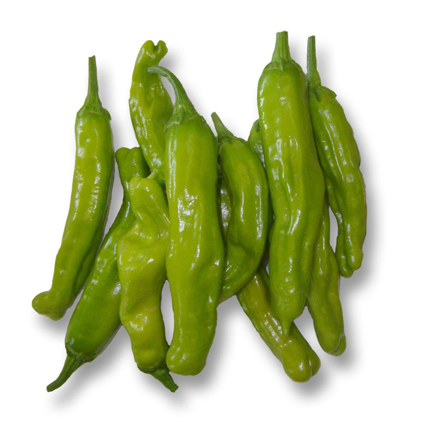 Shishito Japanese Sweet Pepper Seeds - Sandia Seed Company