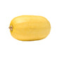 Squash - Winter - Spaghetti Seeds
