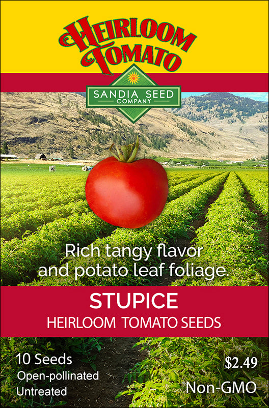 Tomato - Stupice Heirloom Seeds - Sandia Seed Company