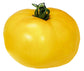 Tomato - Sunny Boy F1 Seeds - Sandia Seed Company