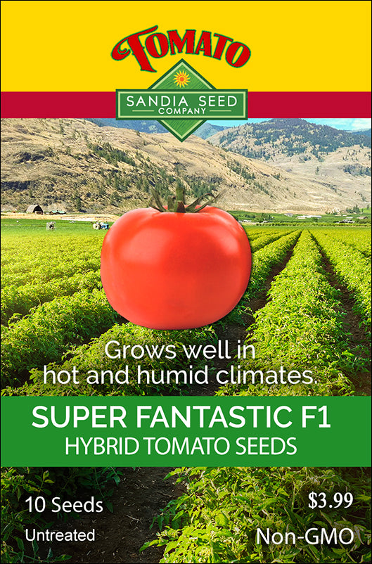 Tomato - Super Fantastic Hybrid Seeds - Sandia Seed Company