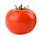 Tomato - Super Fantastic Hybrid Seeds - Sandia Seed Company