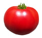 Tomato - Super Sioux Heirloom Seeds ORG - Sandia Seed Company