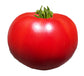 Tomato - Super Sioux Heirloom Seeds ORG - Sandia Seed Company