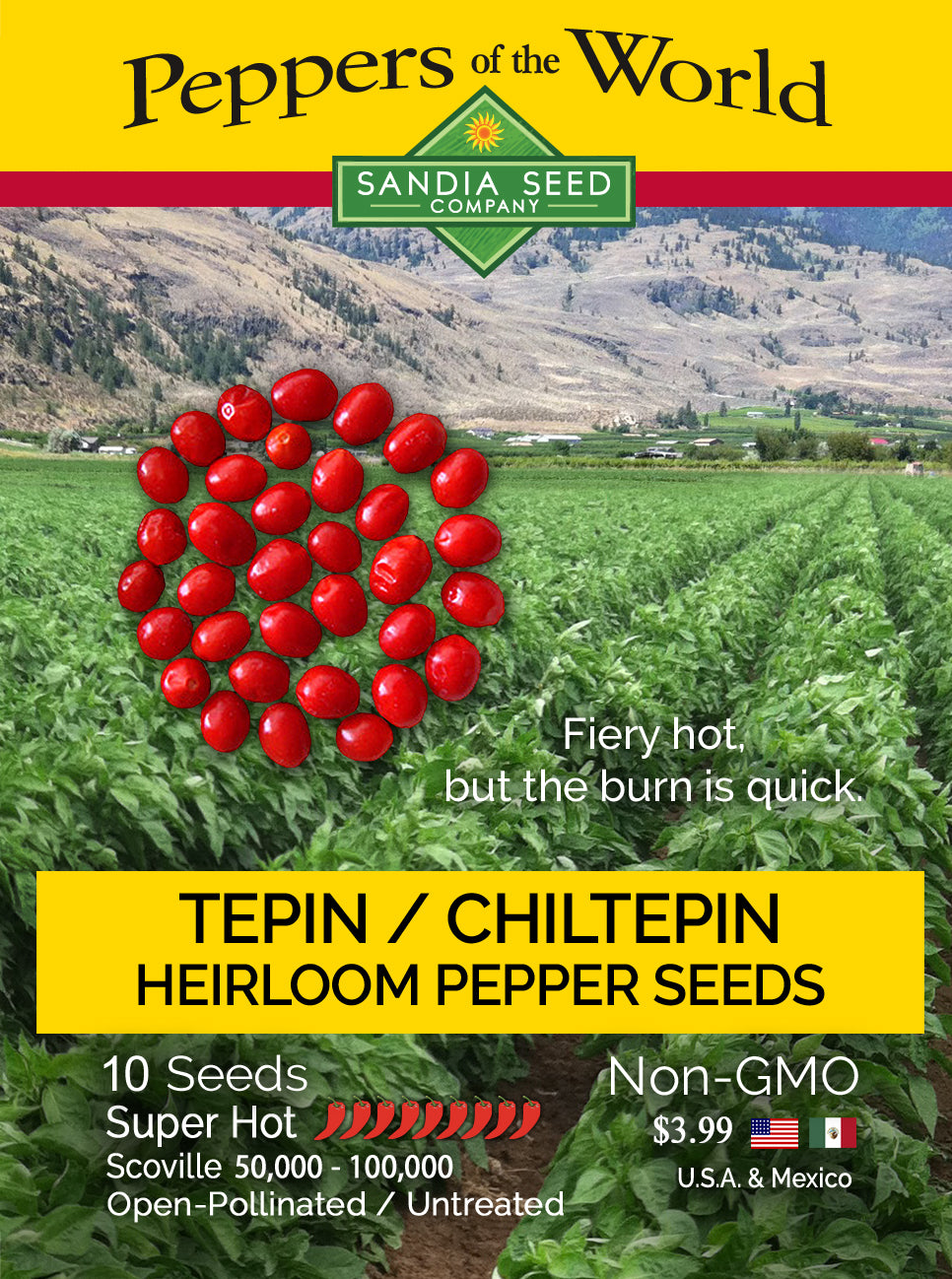 Chiltepin / Tepin Chile Seeds - Sandia Seed Company