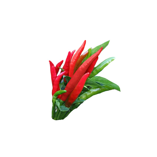 Thai Dragon Pepper Seeds