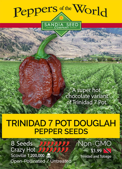 Trinidad Douglah / Chocolate 7 Pot Pepper Seeds - Sandia Seed Company
