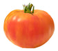 Tomato - Virginia Sweets Heirloom Seeds ORG - Sandia Seed Company