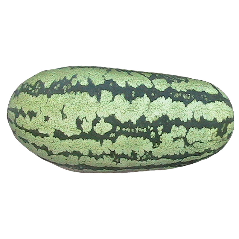 Watermelon Georgia Rattlesnake Seeds