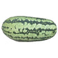 Watermelon Georgia Rattlesnake Seeds