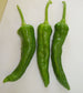 Hatch Green Chile X Hot - Barker's Hot - 1/2 oz. Seeds - BULK - Sandia Seed Company
