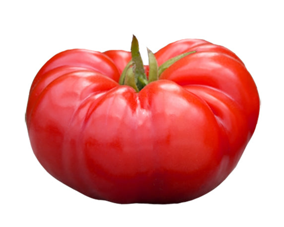 Tomato - Beefsteak Seeds ORG - Sandia Seed Company