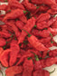 Bhut Jolokia Red Ghost Pepper Seeds - Sandia Seed Company
