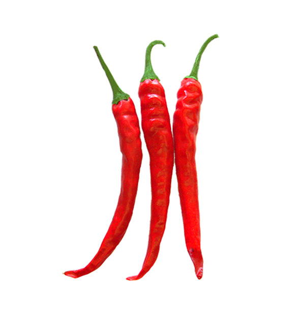 Cayenne Ring of Fire Pepper Seeds Sandia Seed Company
