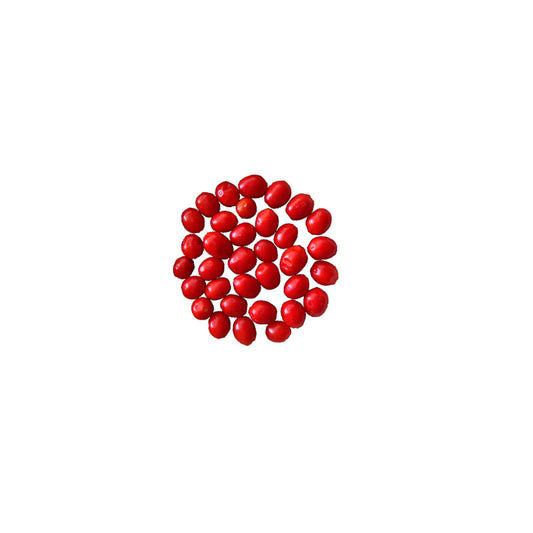 Chiltepin / Tepin Chile Seeds - Sandia Seed Company