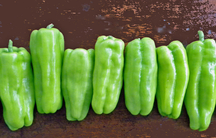 Cubanelle - Sweet Pepper Seeds - Sandia Seed Company