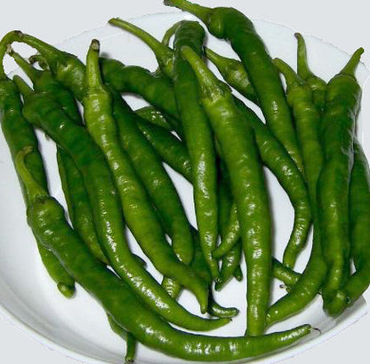 Fushimi Sweet Pepper Seeds - Sandia Seed Company